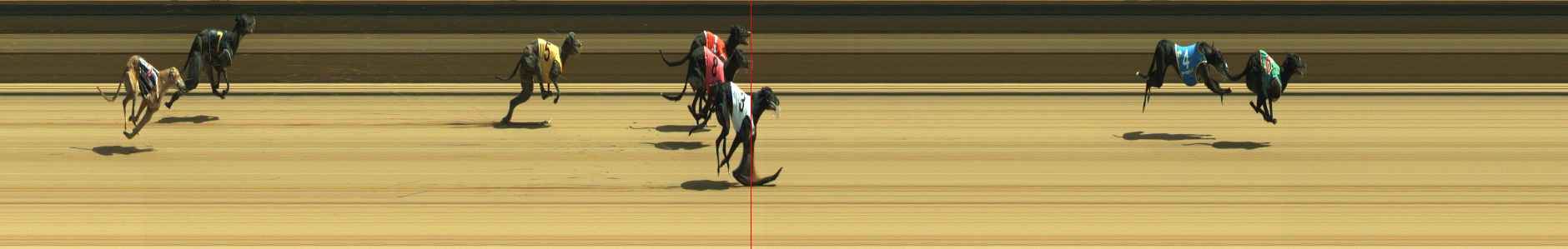 Photo finish for Warragul Race 6