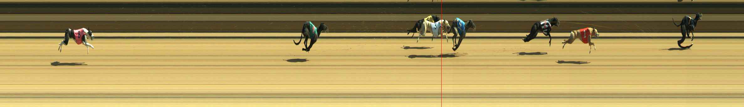 Photo finish for Warragul Race 7