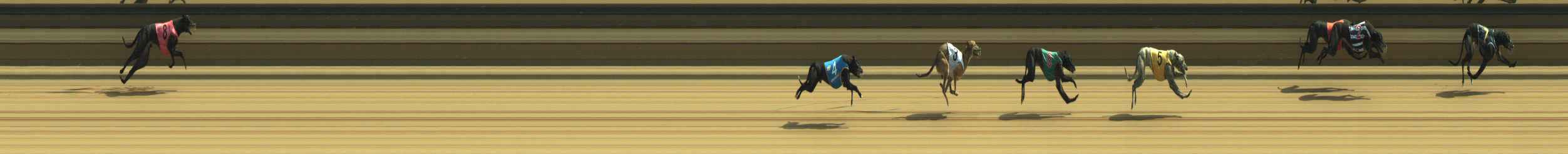 Photo finish for Warragul Race 8