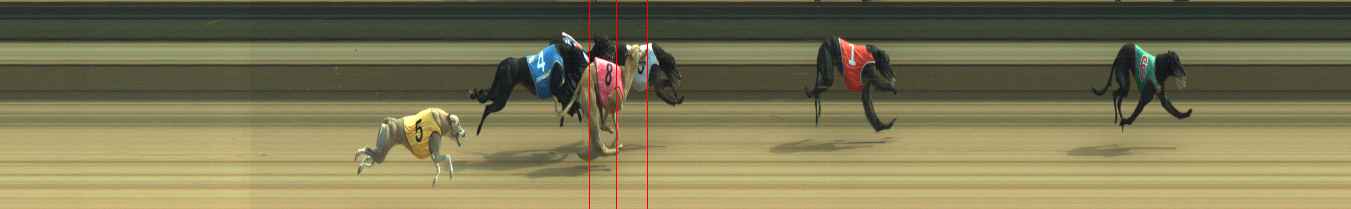 Photo finish for Warragul Race 9