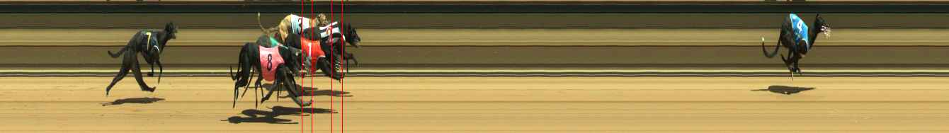 Photo finish for Warragul Race 2