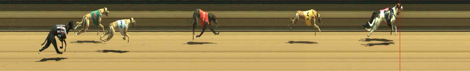 Photo finish for Warragul Race 3
