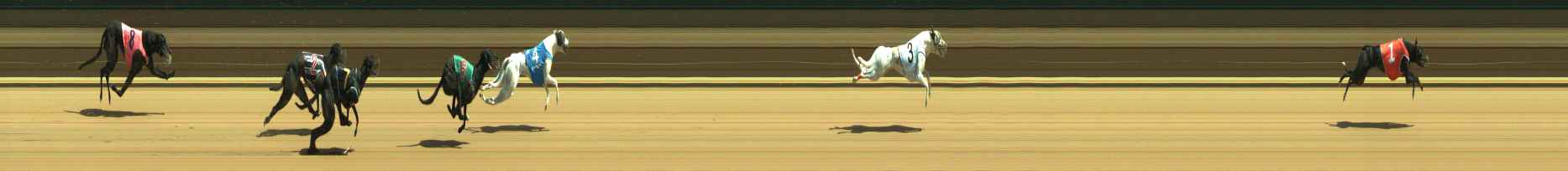Photo finish for Warragul Race 5