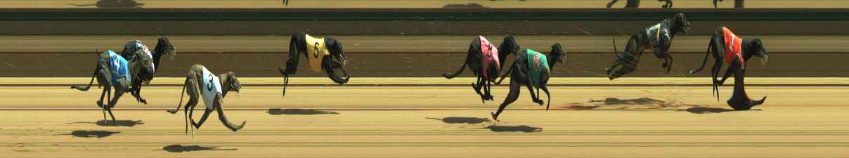 Photo finish for Warragul Race 6