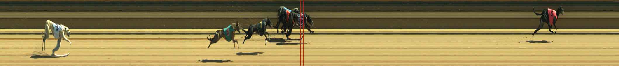 Photo finish for Warragul Race 8
