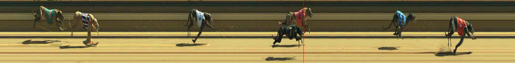 Photo finish for Warragul Race 9