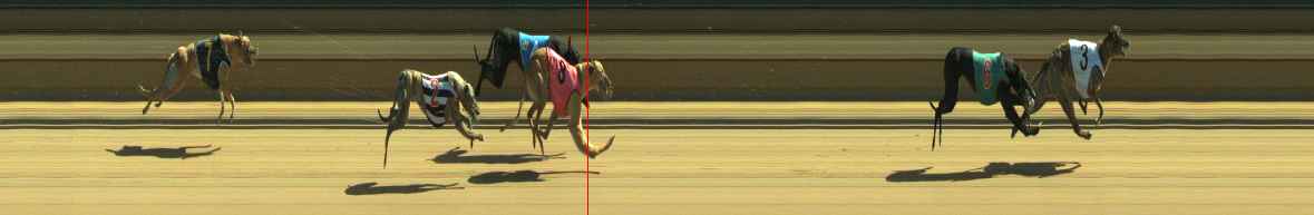 Photo finish for Warragul Race 10