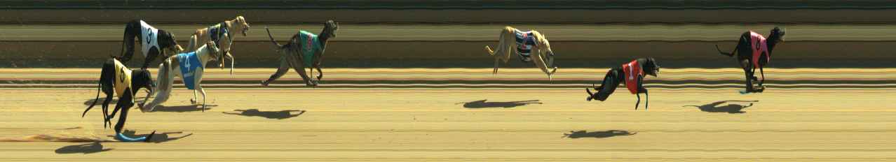 Photo finish for Warragul Race 11