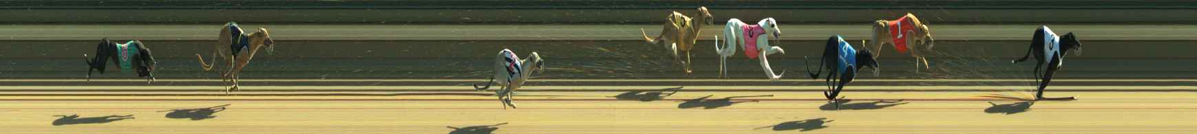 Photo finish for Warragul Race 12