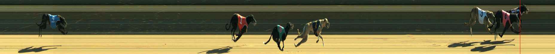 Photo finish for Warragul Race 1