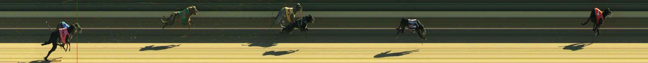 Photo finish for Warragul Race 2