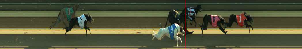 Photo finish for Warragul Race 3