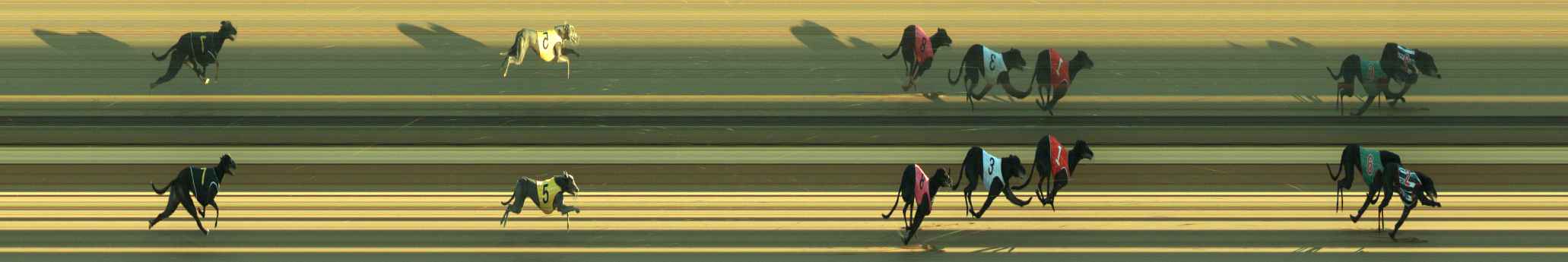 Photo finish for Warragul Race 4