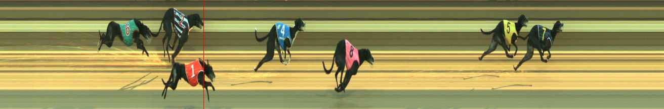 Photo finish for Warragul Race 5