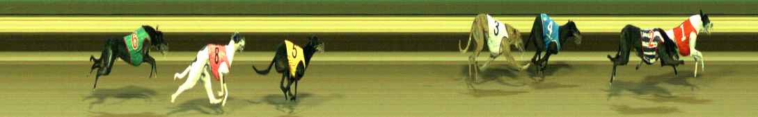 Photo finish for Warragul Race 7