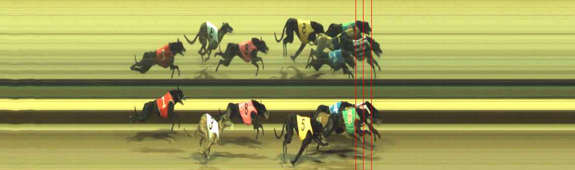 Photo finish for Warragul Race 10