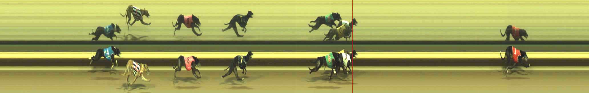 Photo finish for Warragul Race 11
