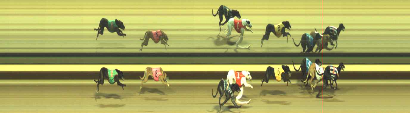 Photo finish for Warragul Race 12