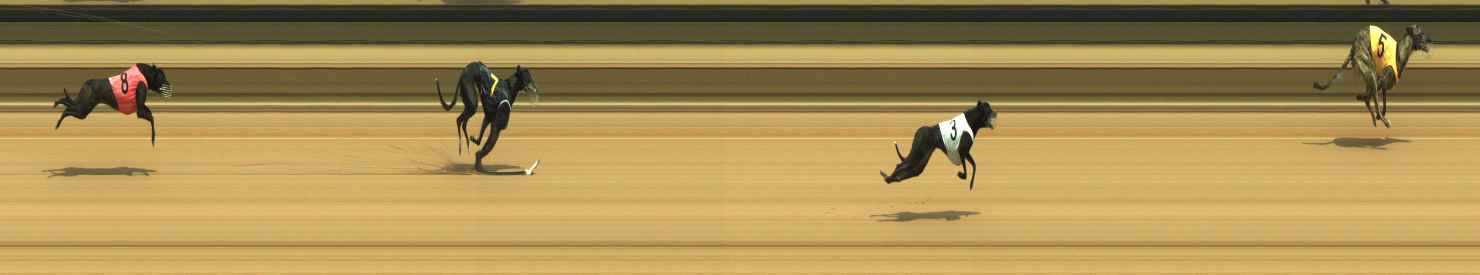Photo finish for Warragul Race 1