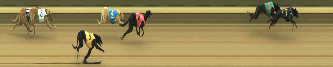Photo finish for Warragul Race 2