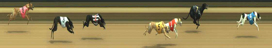 Photo finish for Warragul Race 3