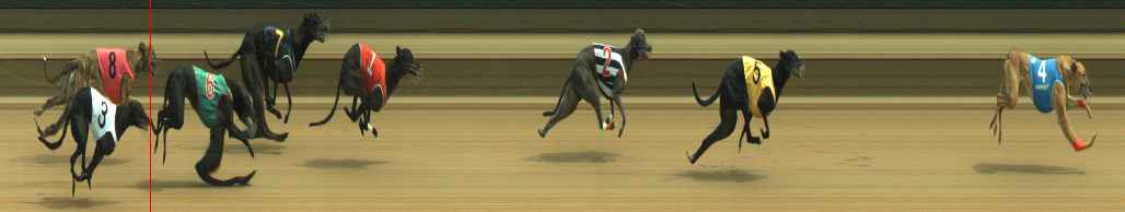 Photo finish for Warragul Race 5