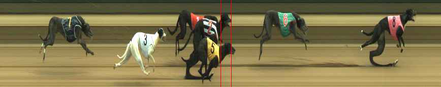 Photo finish for Warragul Race 6