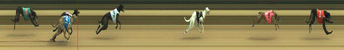 Photo finish for Warragul Race 8