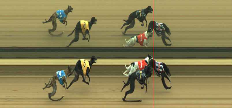 Photo finish for Warragul Race 9