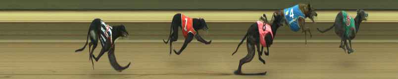 Photo finish for Warragul Race 11