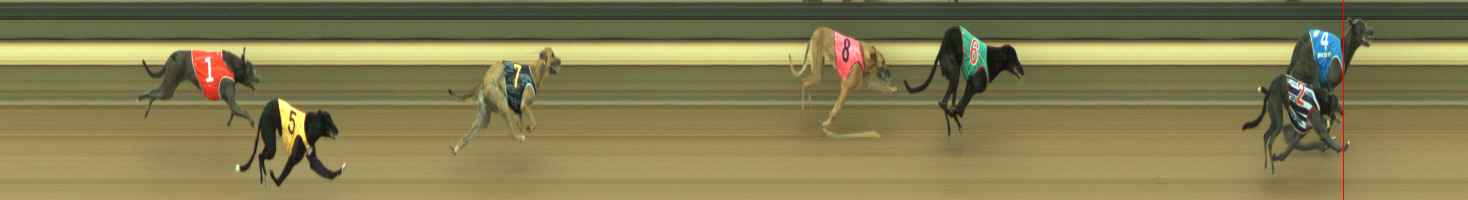 Photo finish for Warragul Race 1