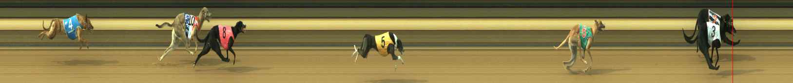 Photo finish for Warragul Race 5