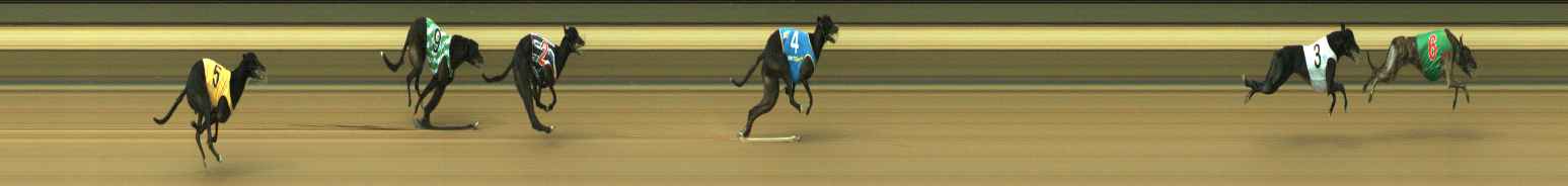 Photo finish for Warragul Race 8