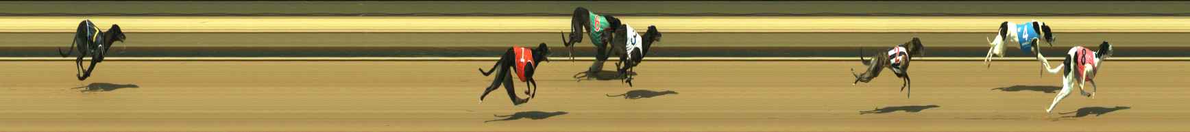 Photo finish for Warragul Race 10