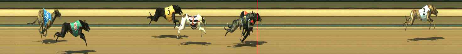 Photo finish for Warragul Race 11
