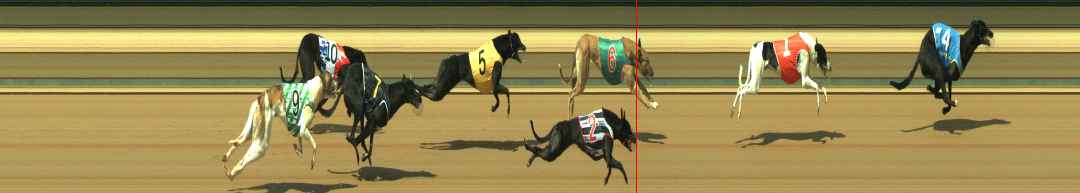 Photo finish for Warragul Race 12