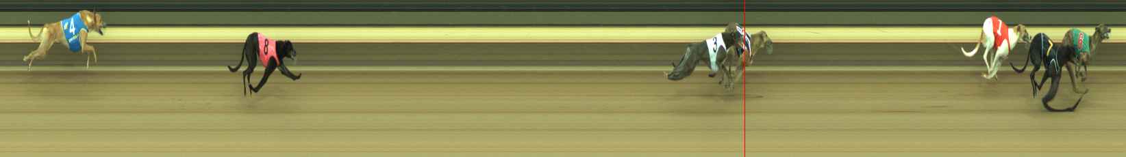 Photo finish for Warragul Race 2