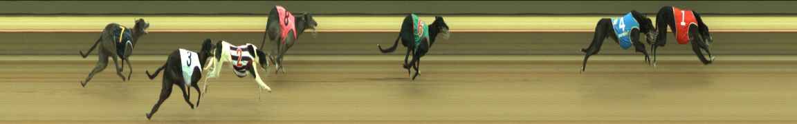 Photo finish for Warragul Race 3