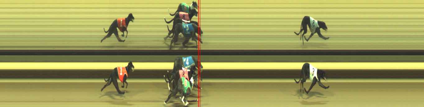 Photo finish for Warragul Race 7