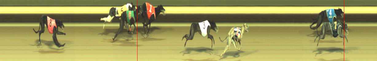 Photo finish for Warragul Race 8
