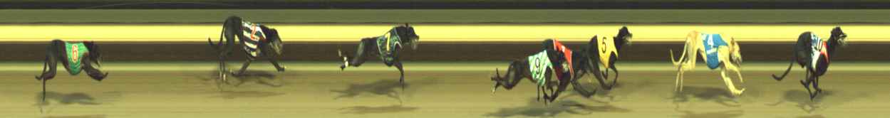 Photo finish for Warragul Race 9