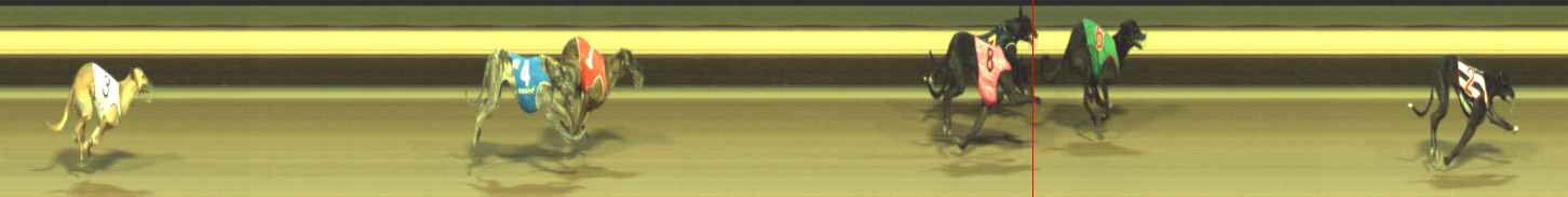 Photo finish for Warragul Race 10