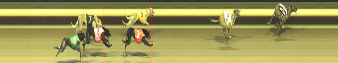 Photo finish for Warragul Race 11