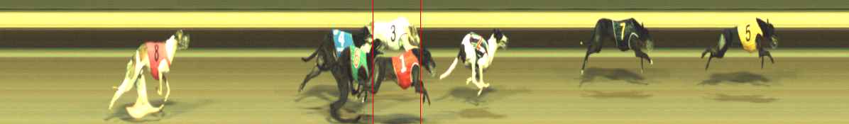 Photo finish for Warragul Race 12