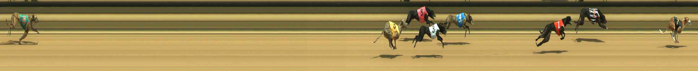 Race result finish photo