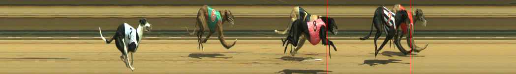 Photo finish for Warragul Race 3