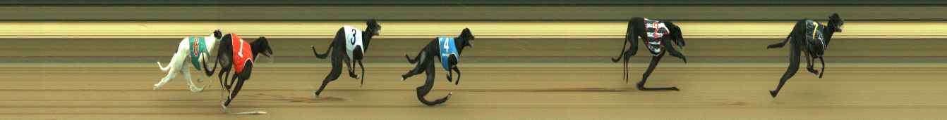 Photo finish for Warragul Race 4