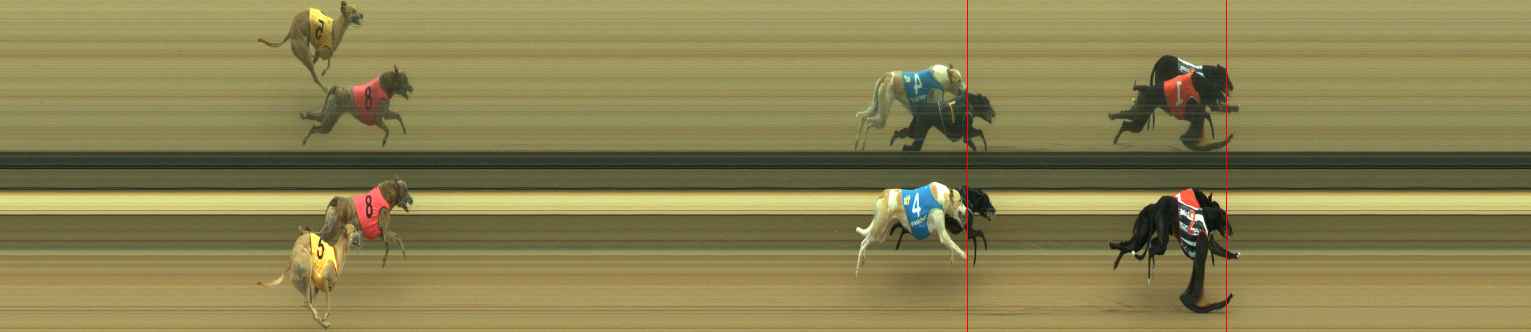 Photo finish for Warragul Race 5