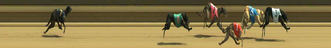 Photo finish for Warragul Race 7