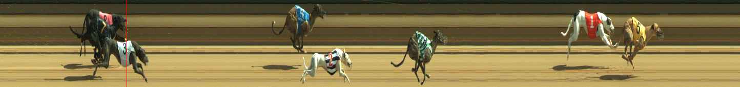 Photo finish for Warragul Race 8